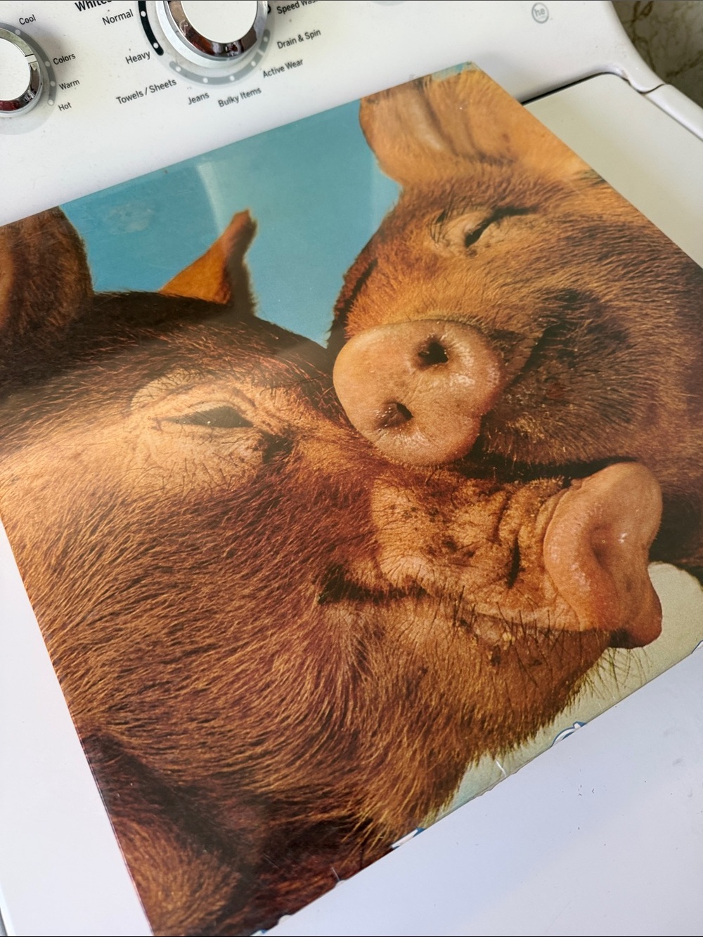 1970’s Hogs/Pigs Ain’t love Grand 551 pc Jigsaw Puzzle Casse-tete ages 12 & Up